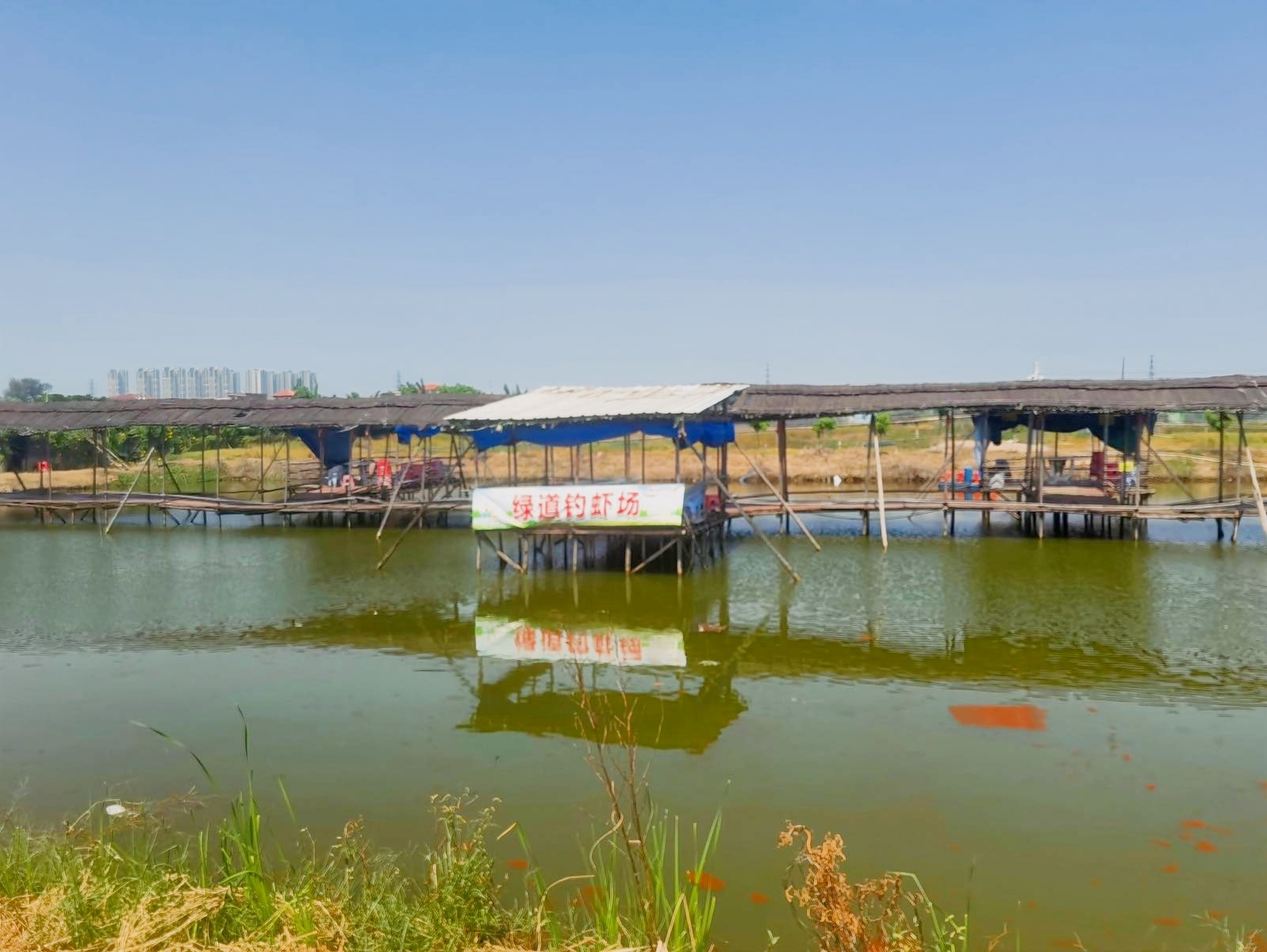 民众绿道钓虾场