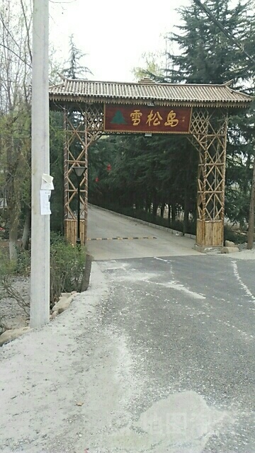 雪松岛