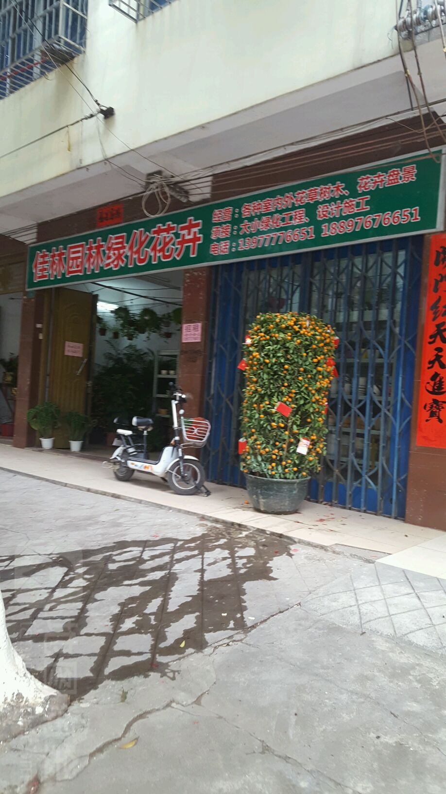 佳林园林绿化花卉