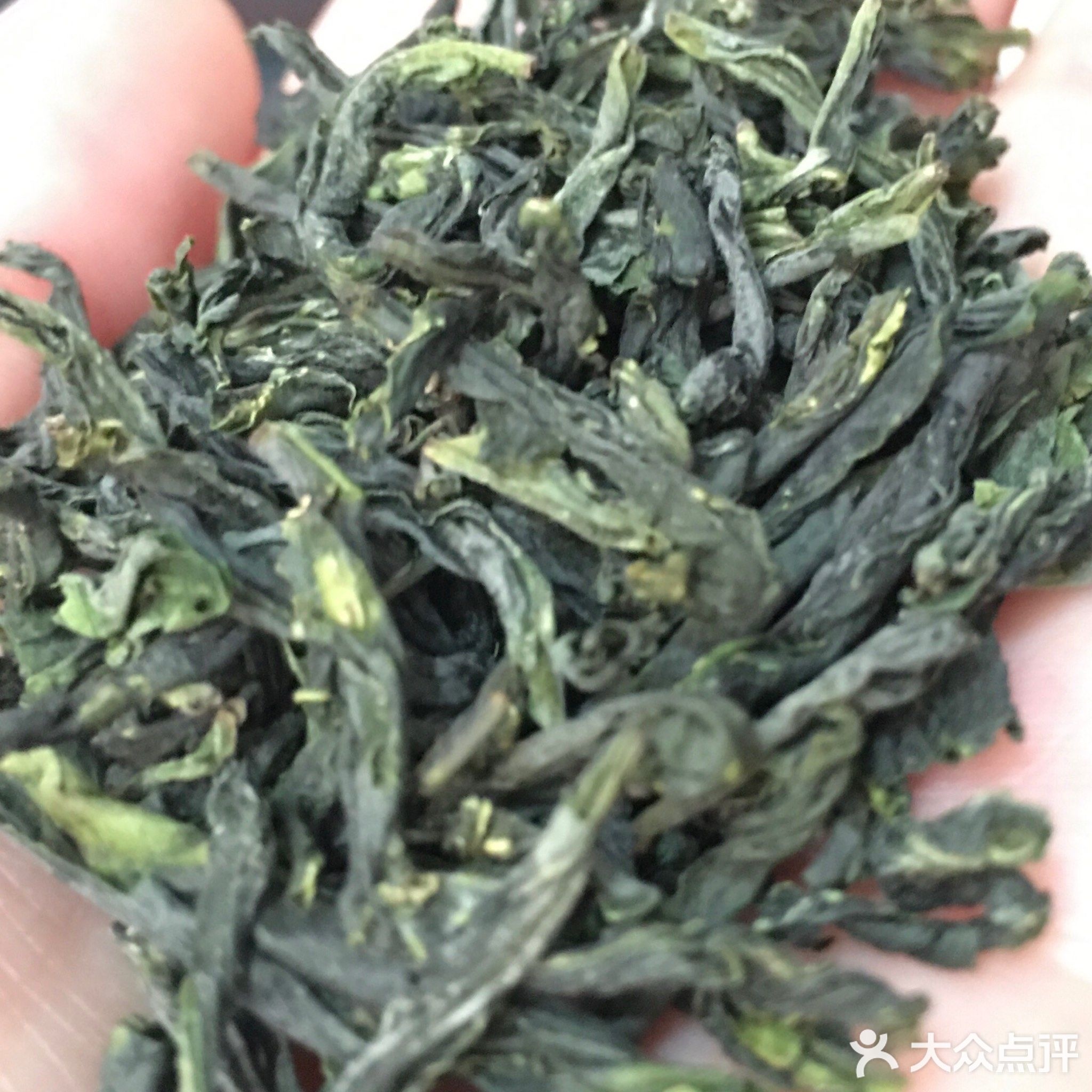 大别山茶城