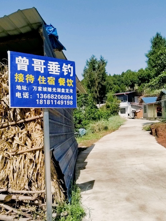 曾哥垂钓