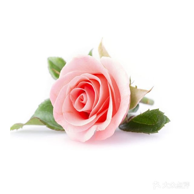花植花艺空间