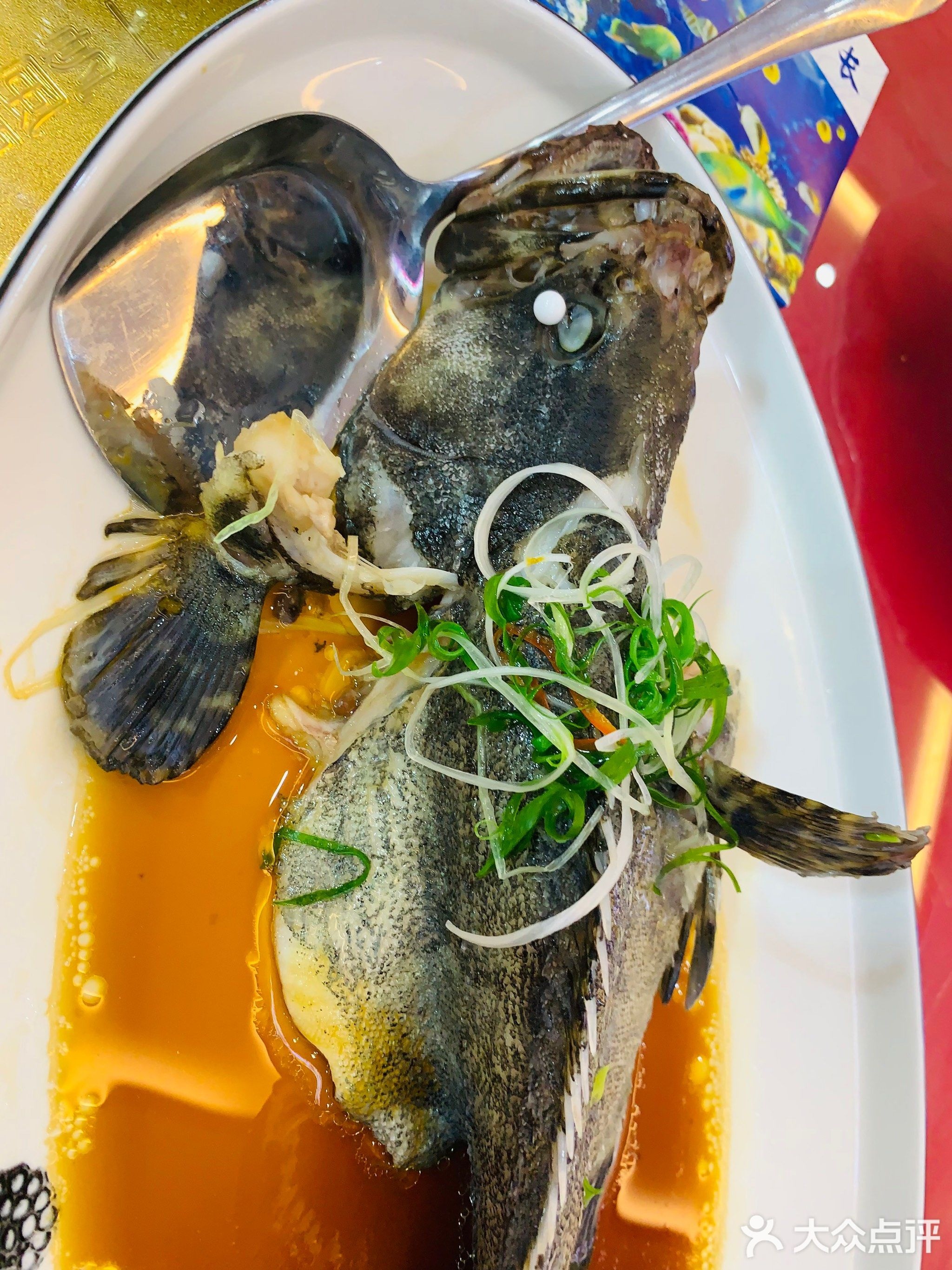 郑氏粤海老船长(荔枝沟夜市店)