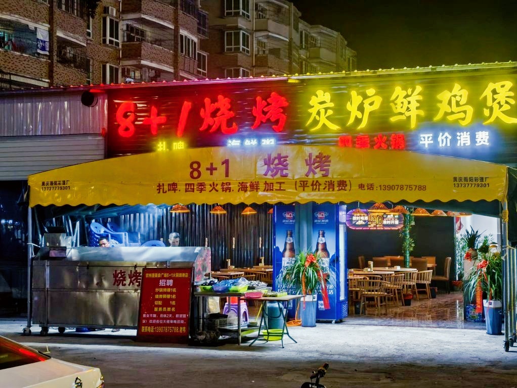 鲜鸡煲(上林烧烤分店)