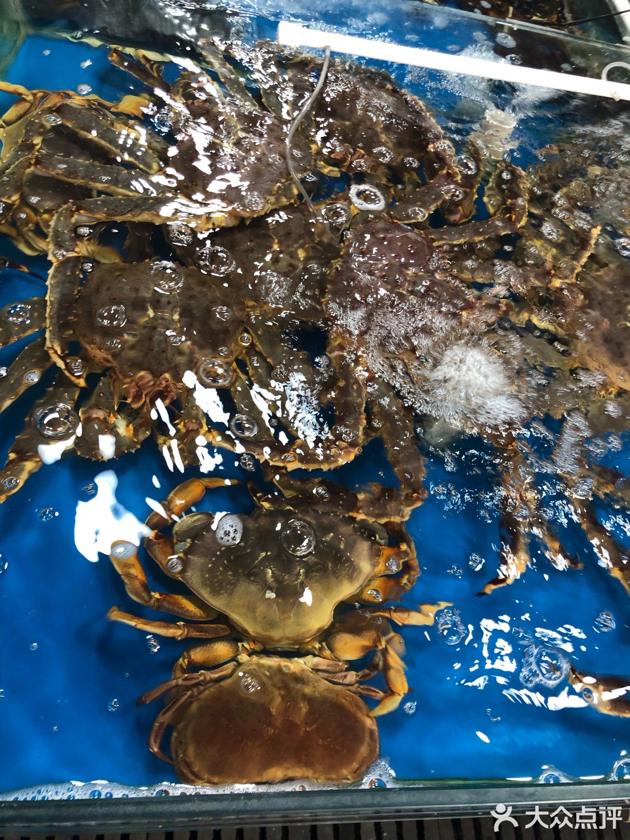 淡村海鲜批发城(淡村商贸城店)