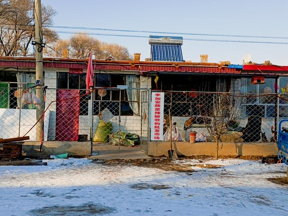李加安蔬菜辣椒收购批发市场