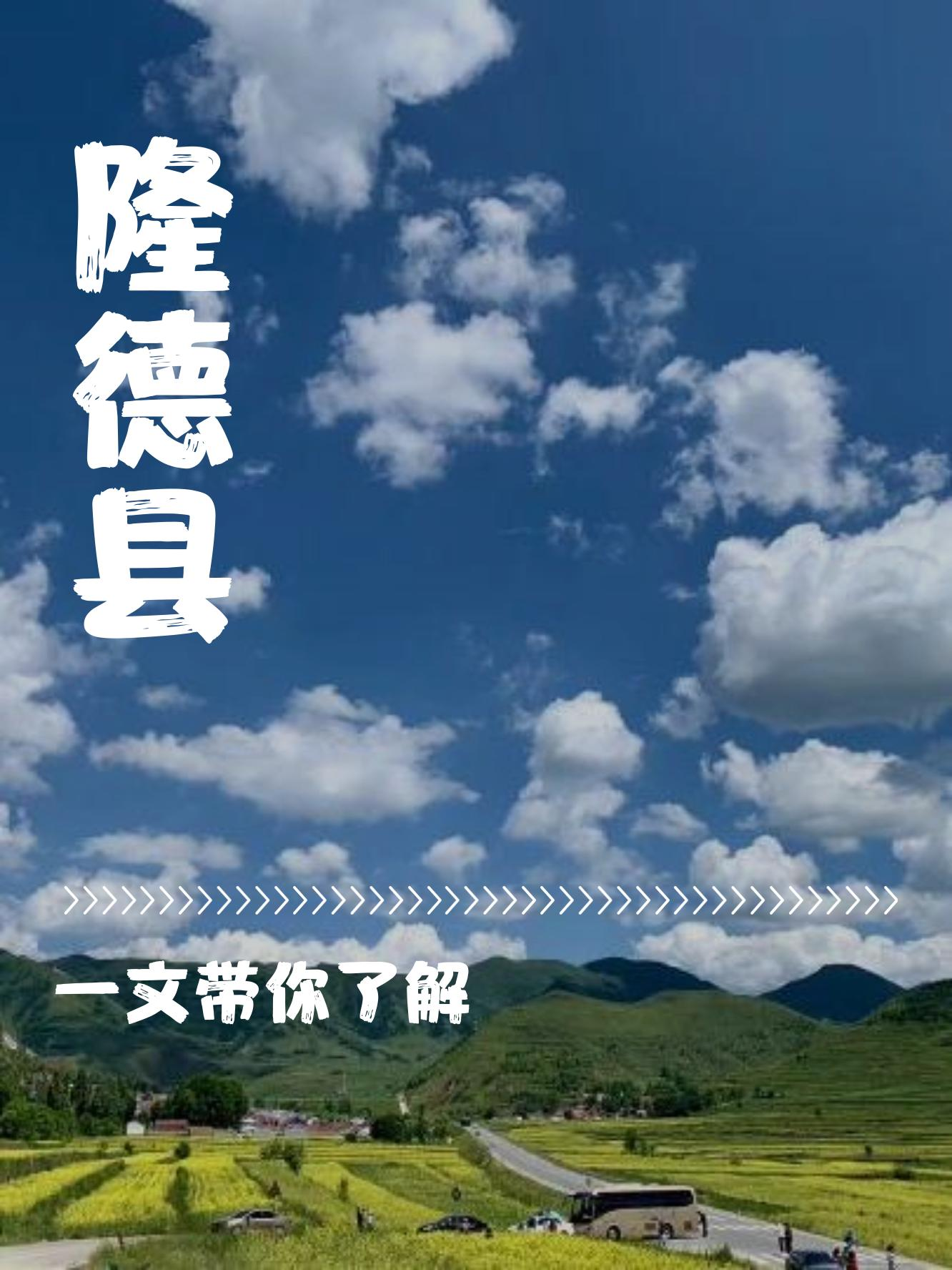 宁夏隆德县简介图片