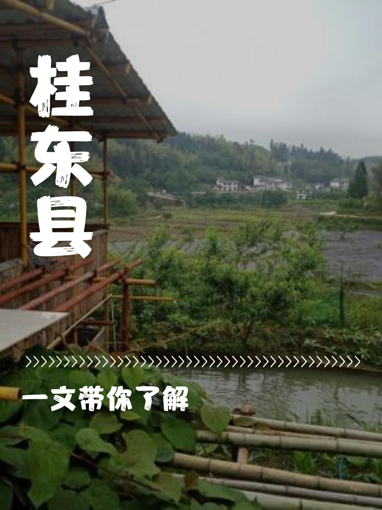 黄陂三台山风景区简介图片