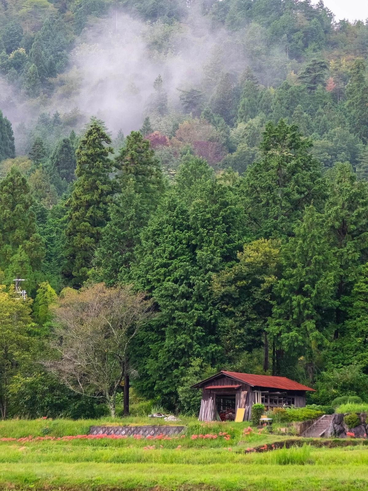 厦门海沧免费景点大全图片