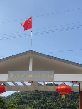 黄埔区龙头山森林公园图片