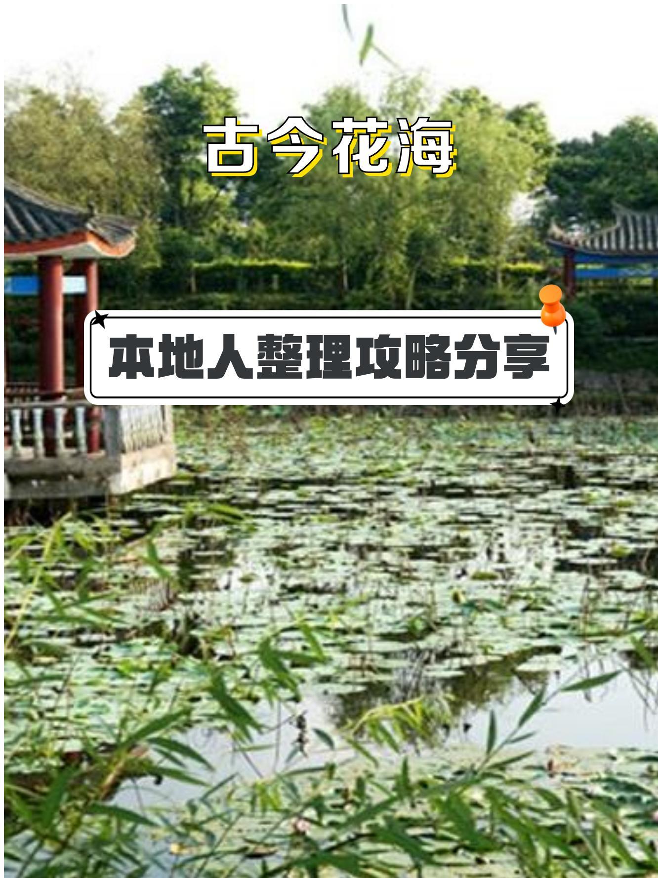 涪陵古今花海简介图片