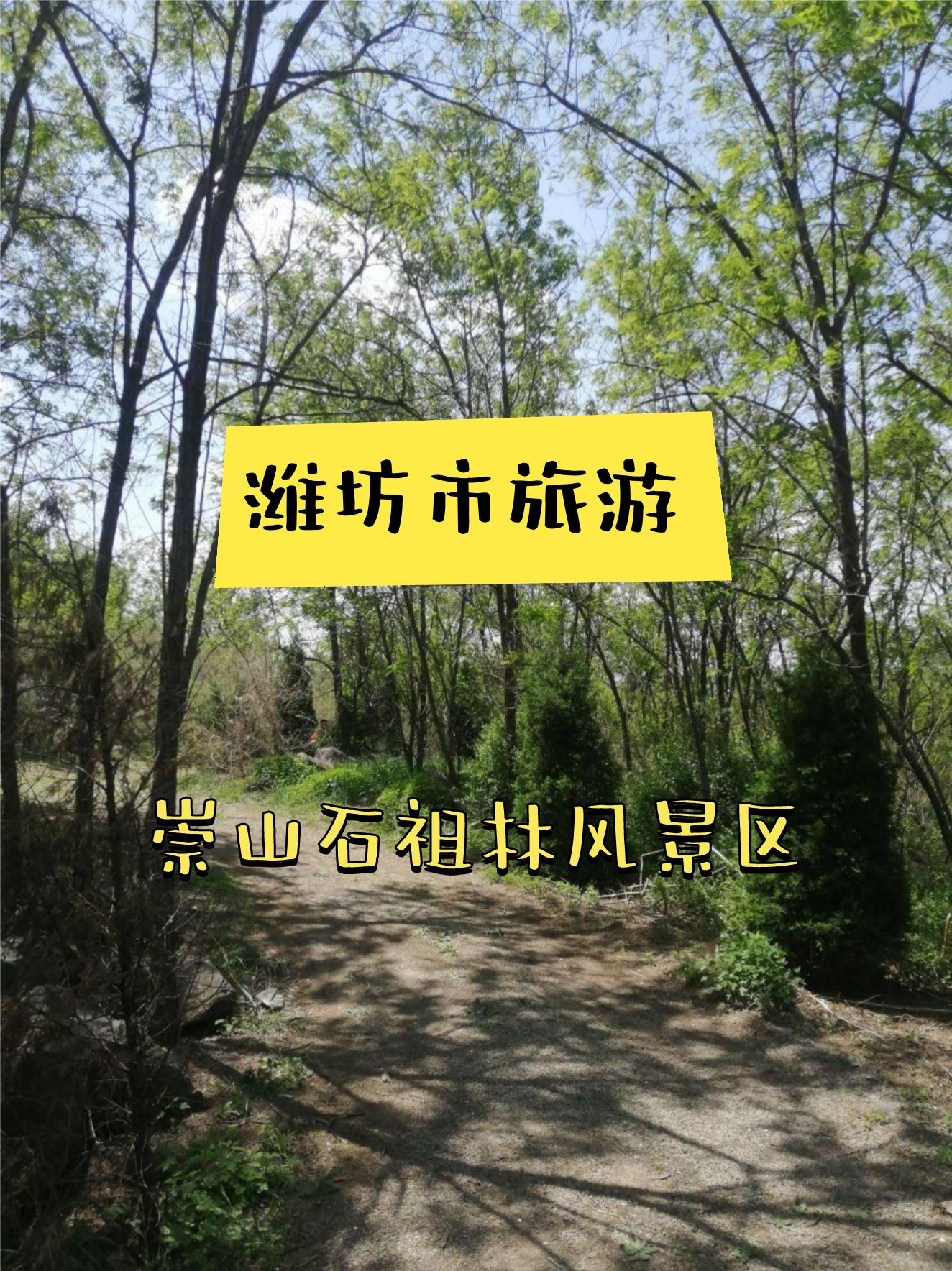 99地点:崇山石祖林风景区 99地址:潍坊市昌乐县003乡道东50米