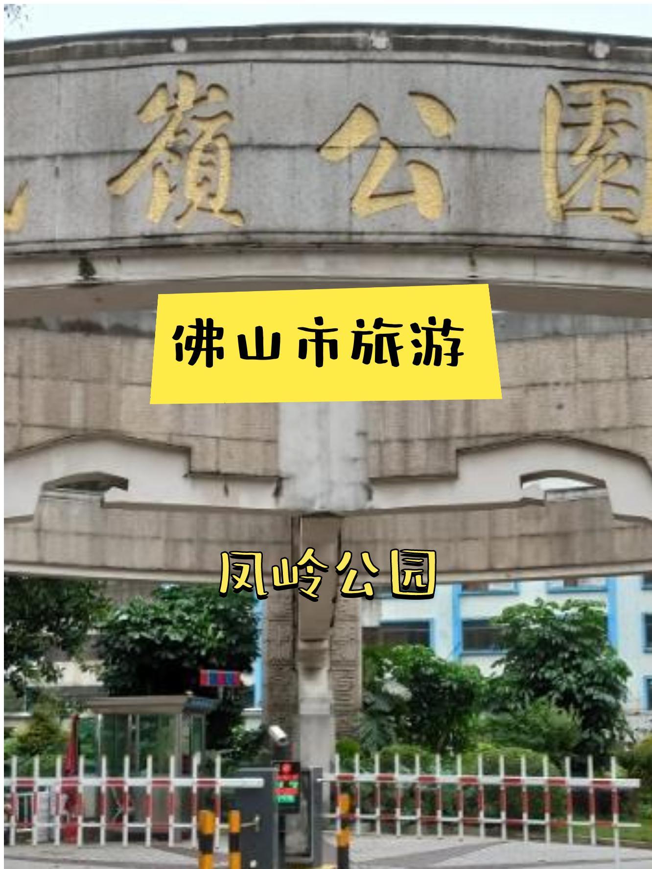 凤岭北 公园图片