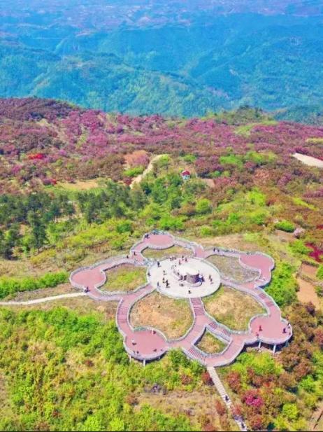 名称:四明山杖锡风景区 地址:浙江省宁波市海曙区大乡段与020县道