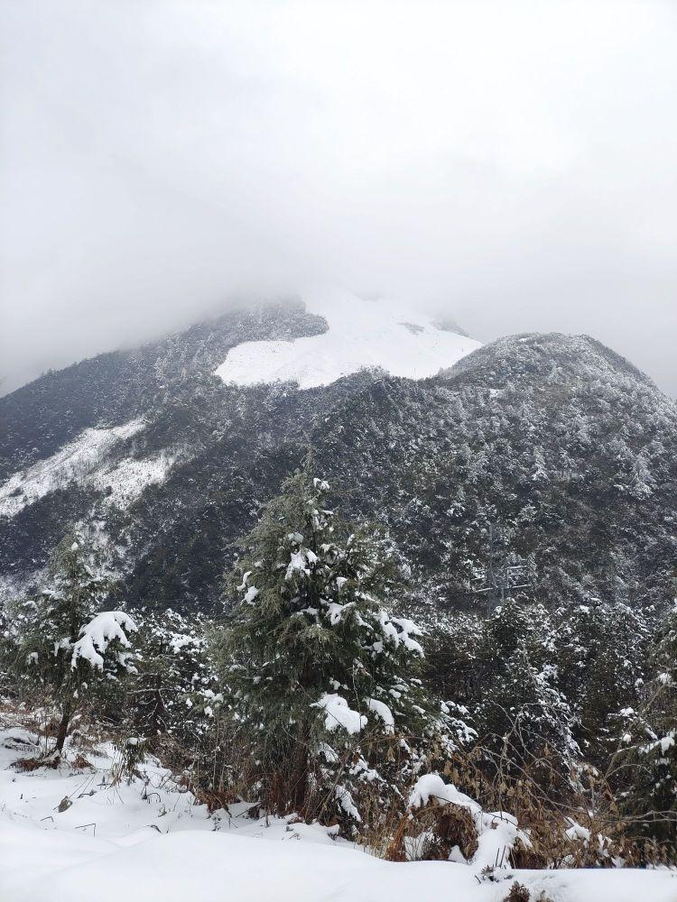 来雪宝山国家森林公园,探索徒步踏秋的好去处,邂逅美丽雪景和珍稀濒危