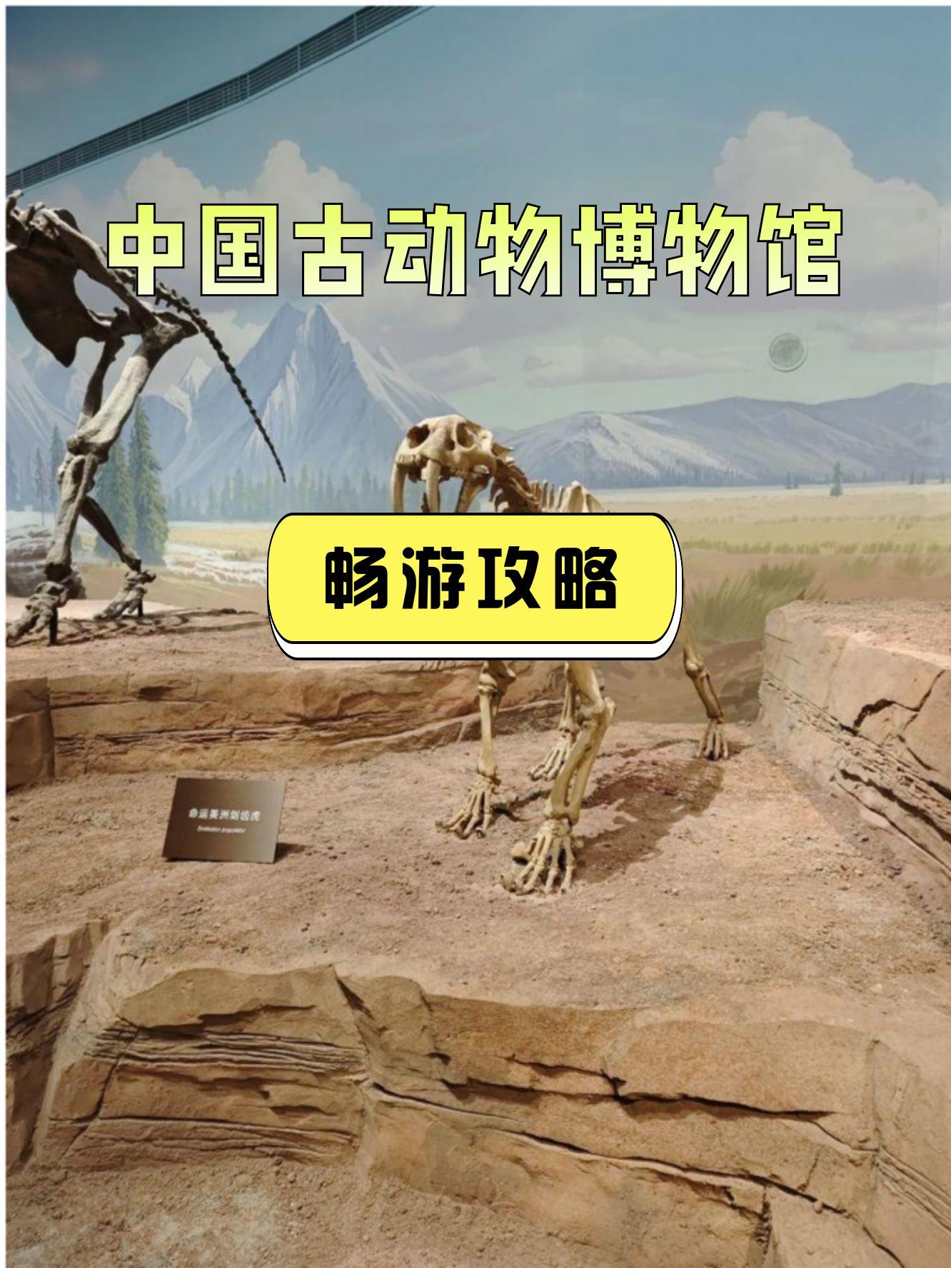 中国古生物博物馆地址图片