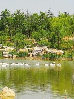 走进烟台植物园