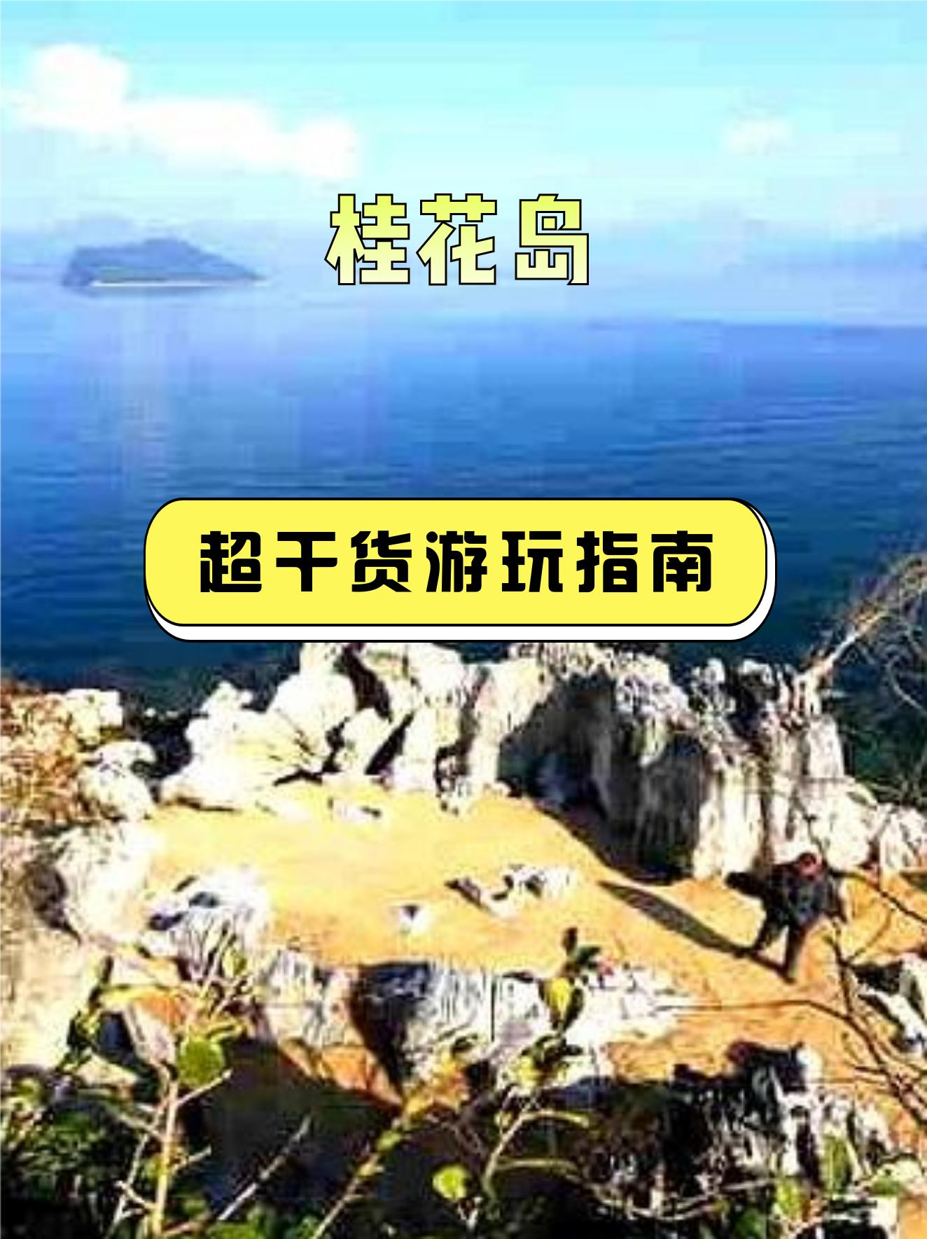 地址:佛山市三水区321国道西50米 特色:来到桂花岛,你将被这里的美丽