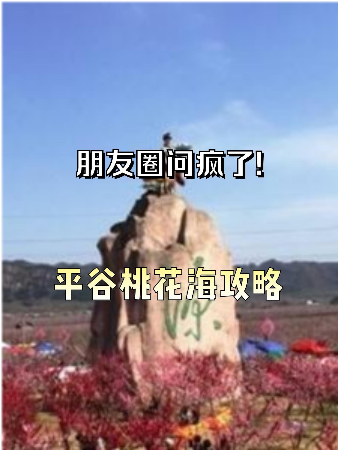 后北宫崔平平图片