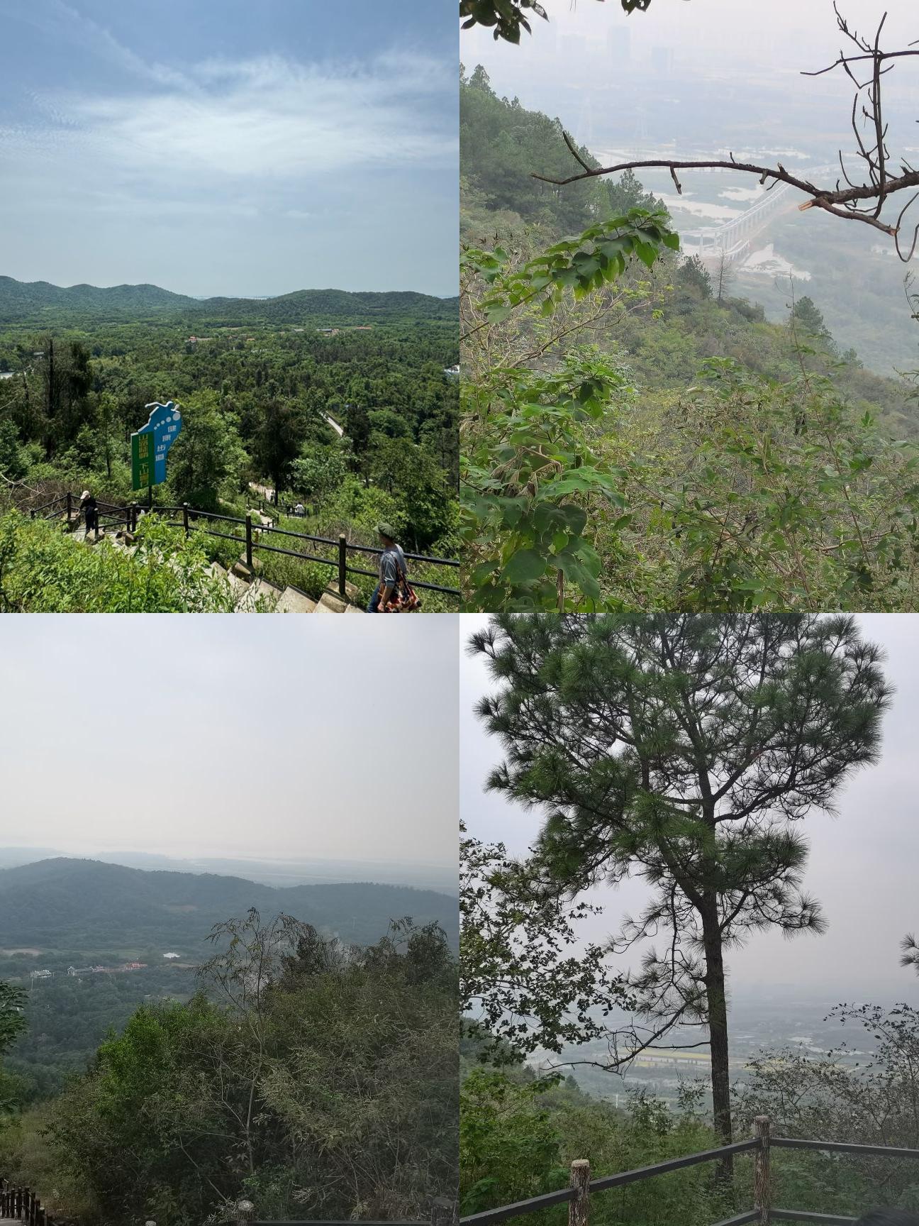 地点:远眺亭(武汉市江夏区龙泉乡龙泉山风景区内) 开放时间:09:00