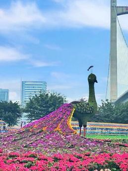 福州市花海公园图片