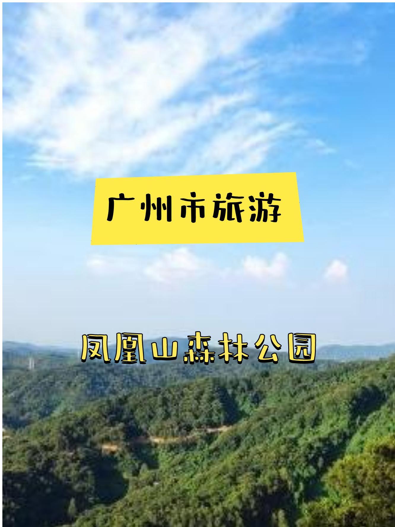 天河区凤凰山森林公园图片