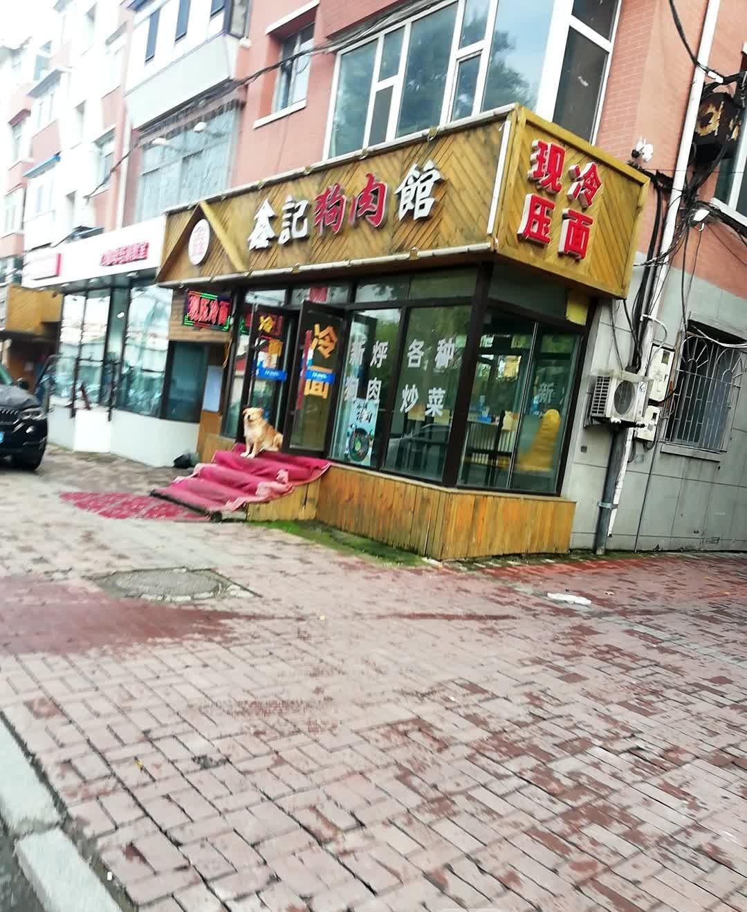 店名:鑫记狗肉馆 营业时间:09:00