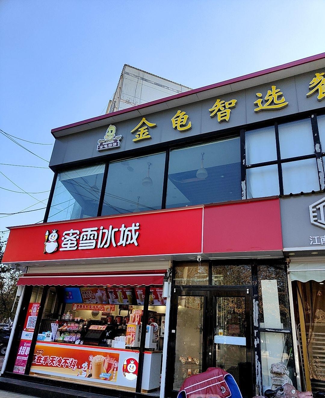 金龟馅饼图片