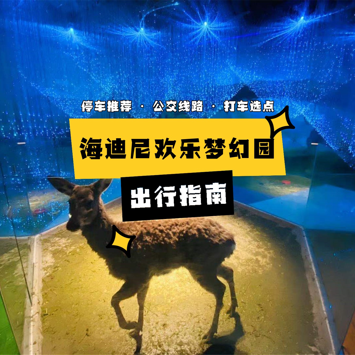 海迪尼欢乐梦幻园图片