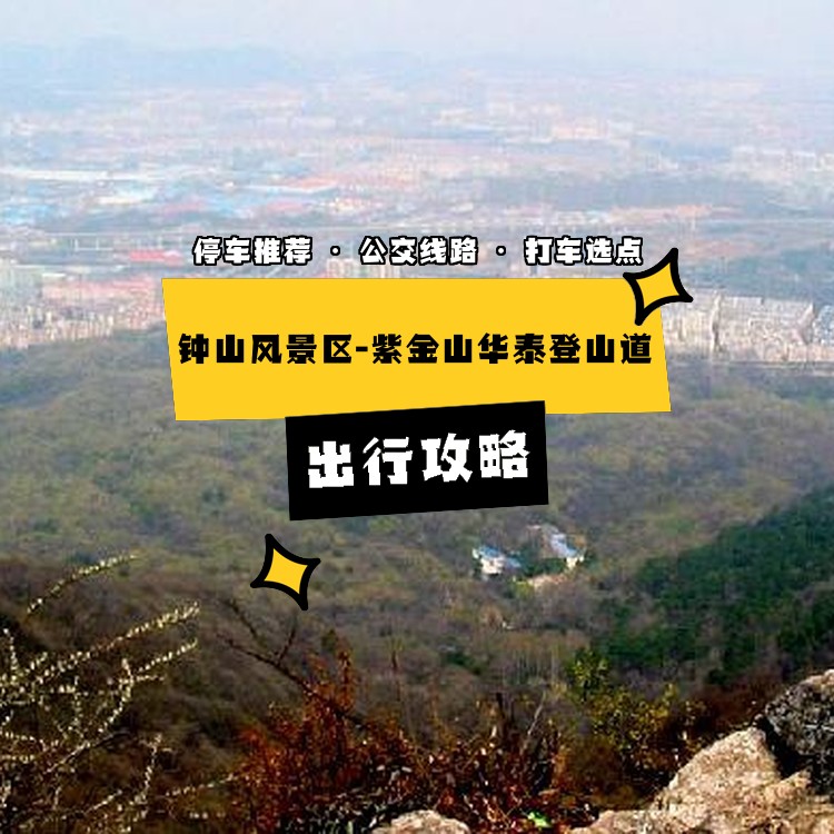 紫金山华泰登山道图片