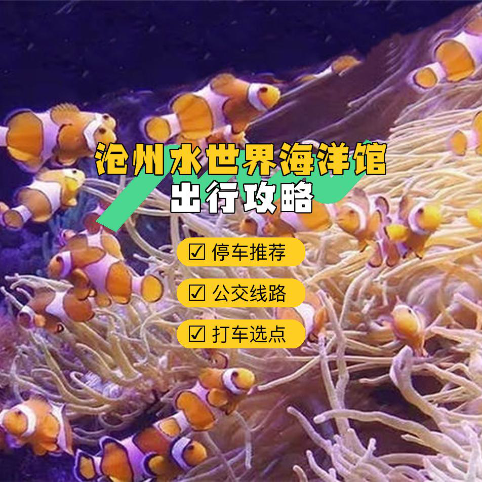 南阳水世界海洋馆票价图片