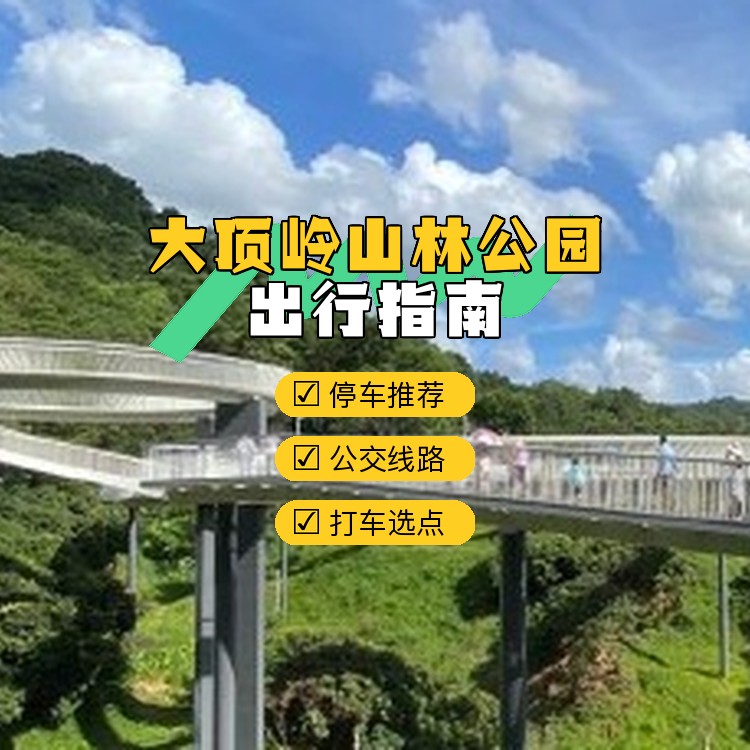 99准备好探索深圳的 大顶岭山林公园 了吗?