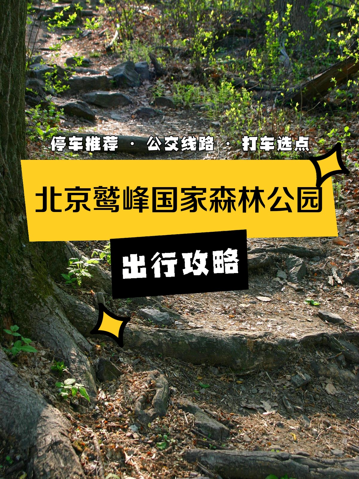 鹫峰国家森林公园门票图片