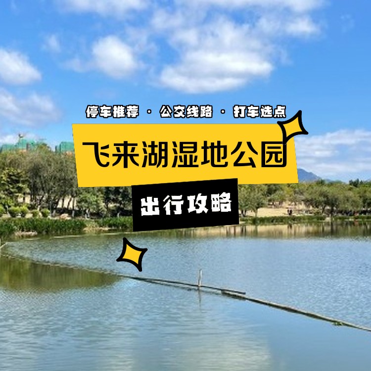 飞来湖湿地公园导览图图片