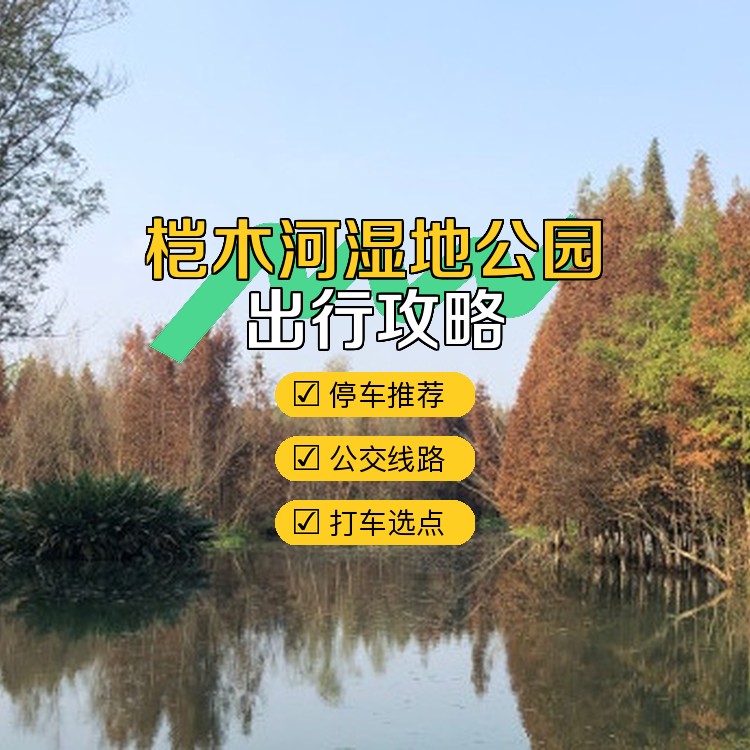 桤木河湿地公园地图图片