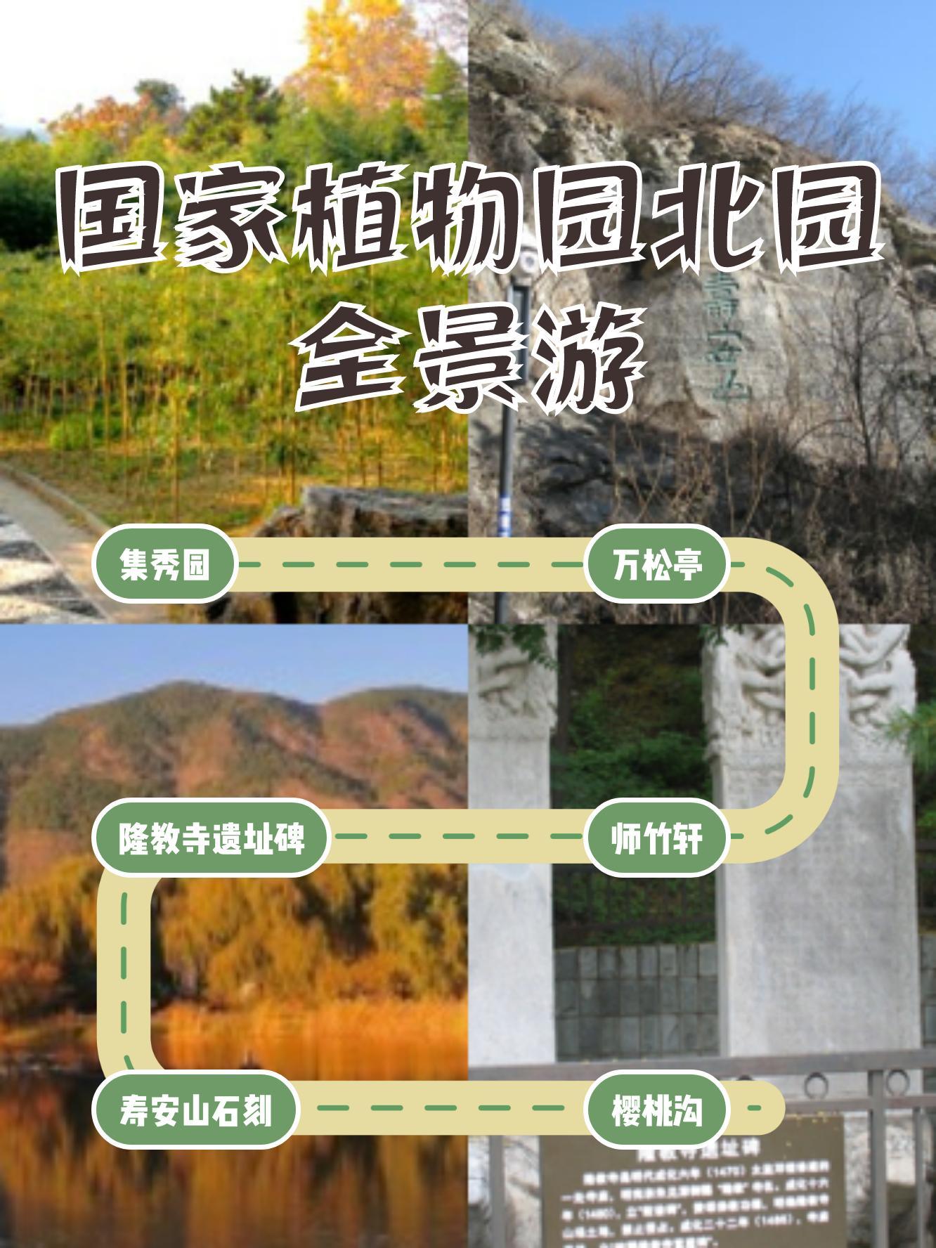 北京植物园旅游线路图图片