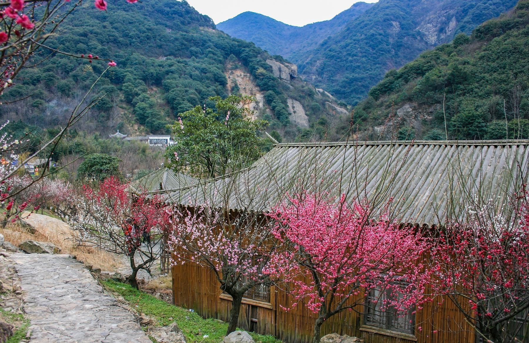 宁波四明山风景区图片