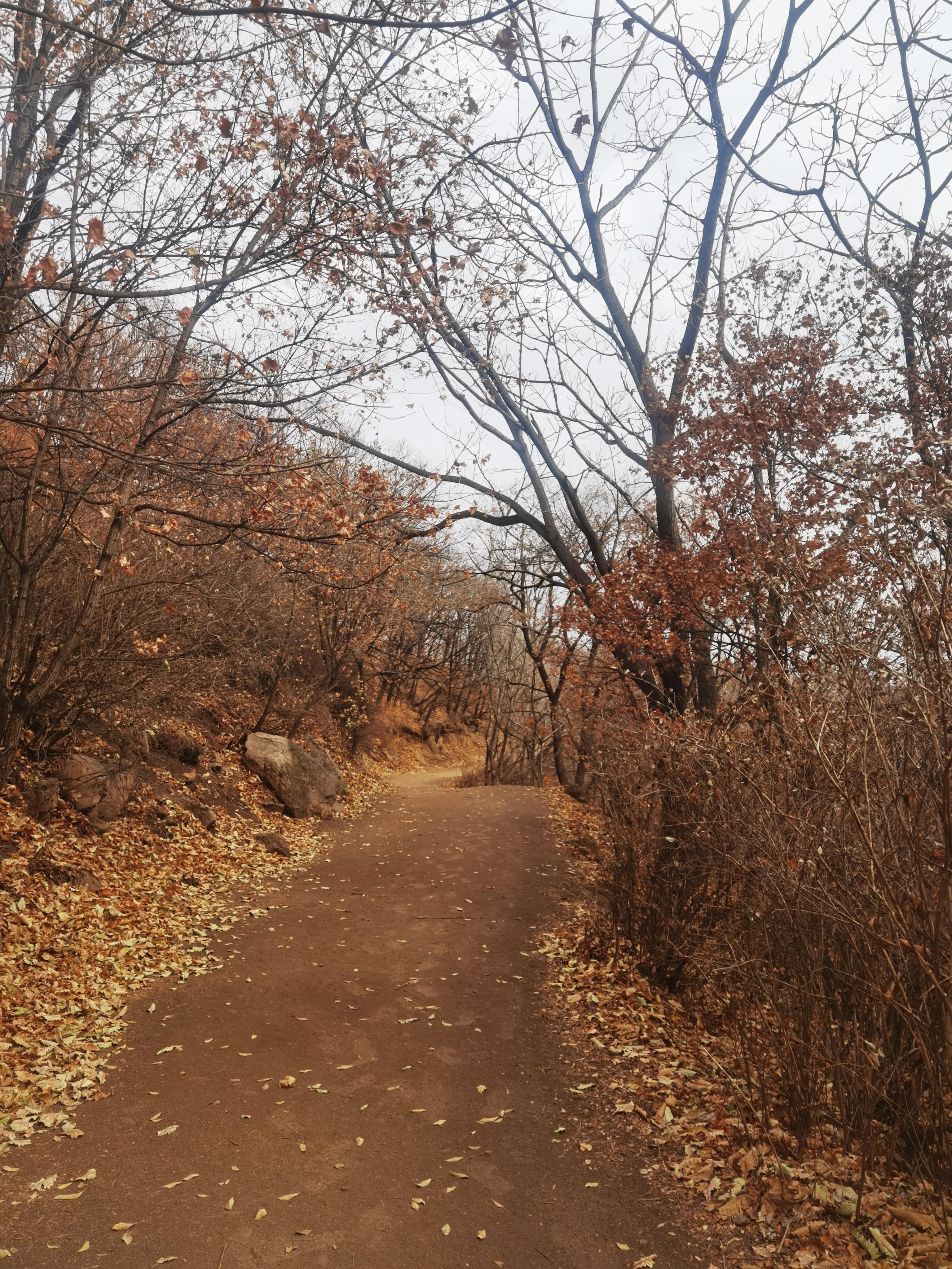 怀柔神堂峪风景区图片