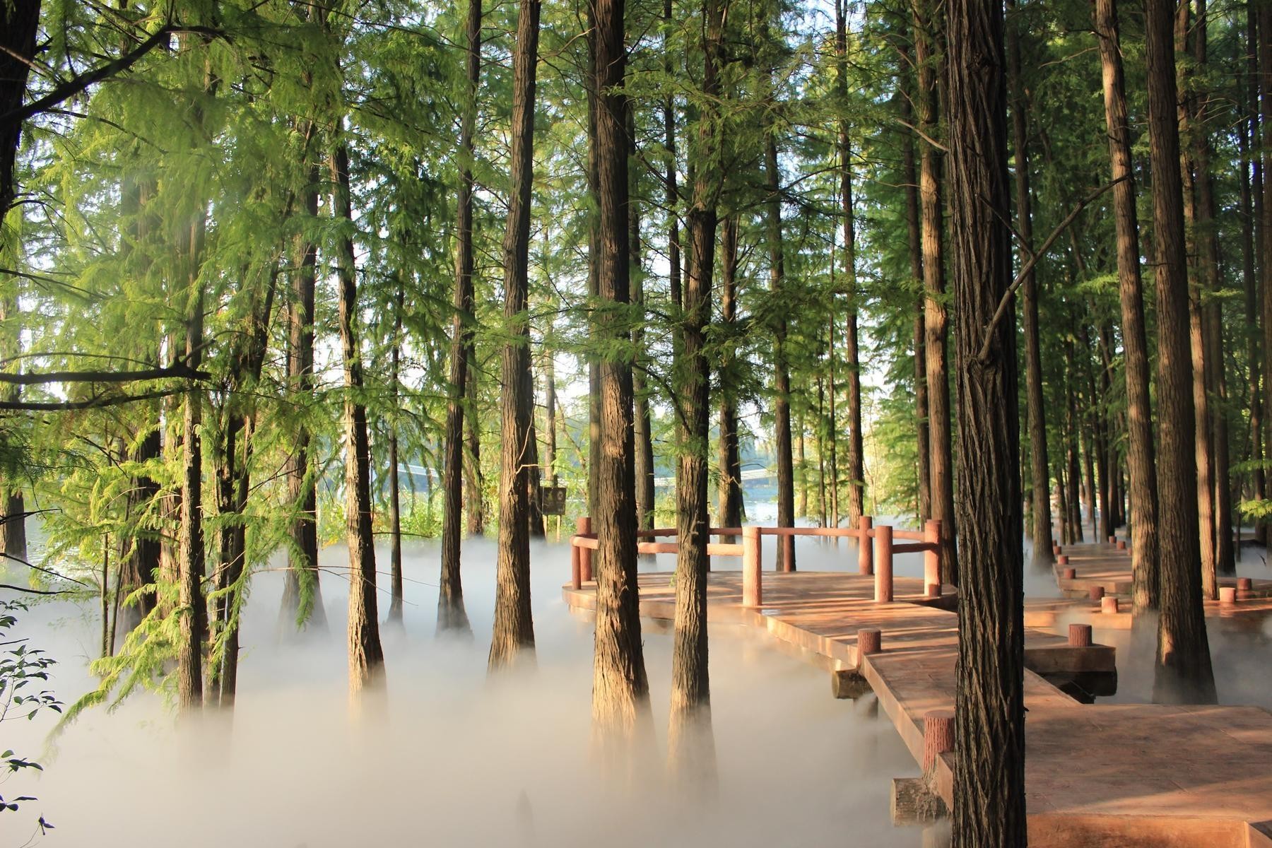 东湖落雁景区地图图片