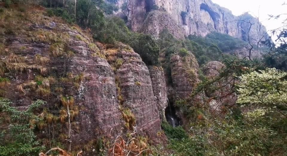 今天带大家解锁一个绝美拍摄地——雁荡山净名谷景区,天然氧吧等你来