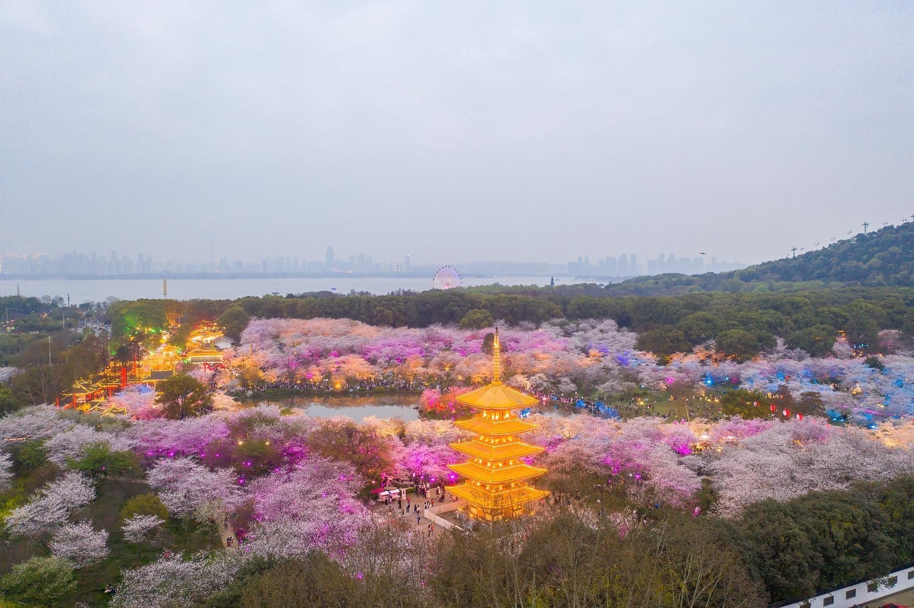 大连英歌石植物园门票图片