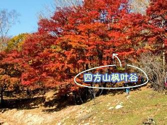 四方山枫叶谷门票图片