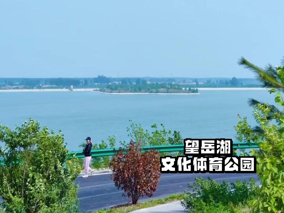 望岳湖文化体育公园 这个全市重点项目,特色花海景观让人流连忘返