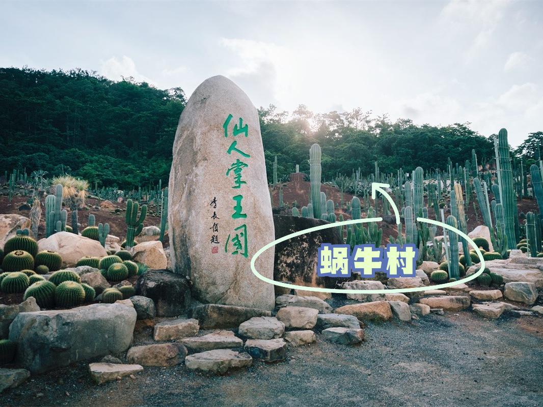 福建石岩植物园门票图片