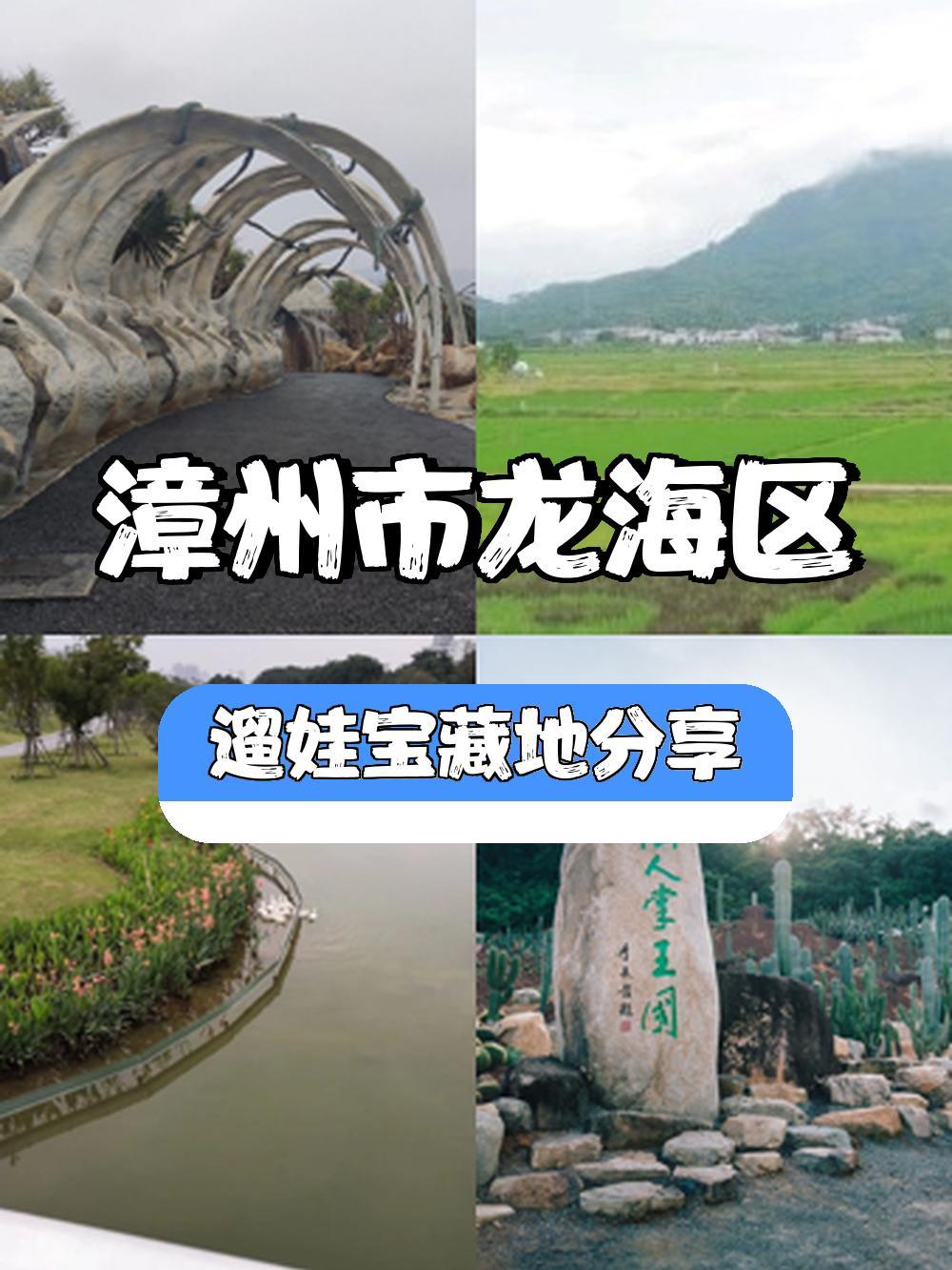 福建石岩植物园门票图片