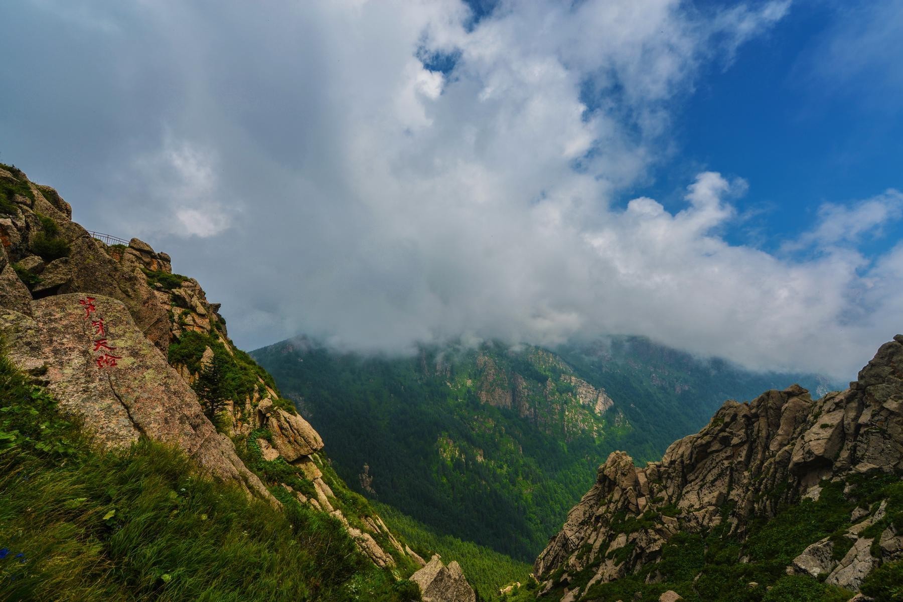 芦芽山景点图片