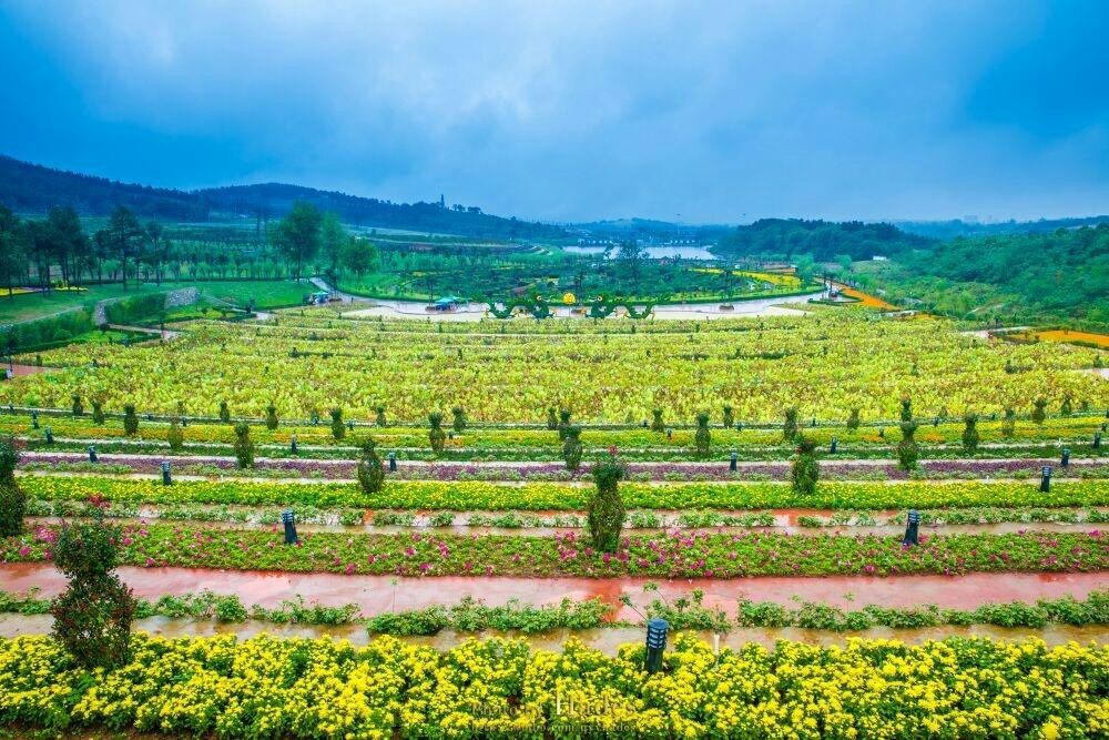 让我和宝宝都玩得超开心 ① 老乐山旅游景区  大片马鞭草和美丽花海