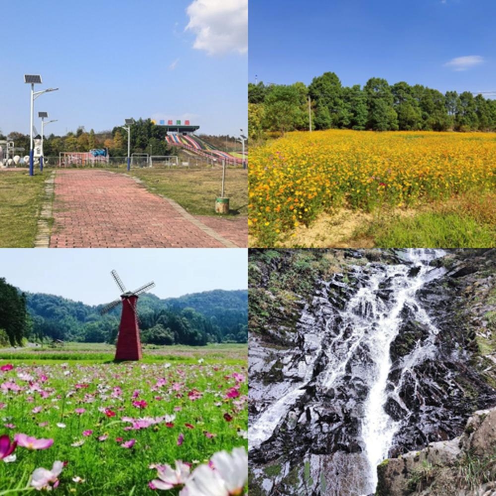 新余下保村花海门票图片