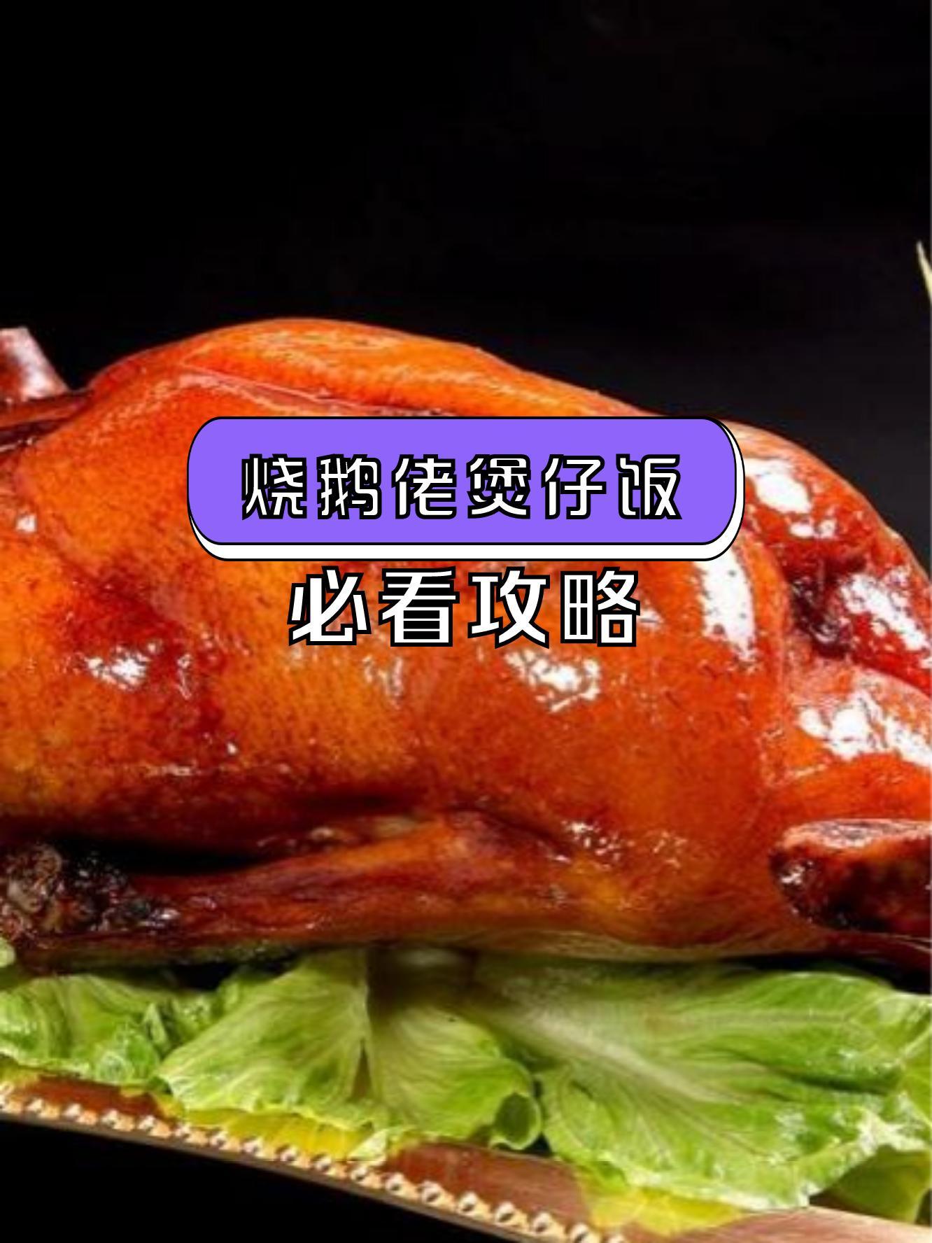 烧鹅仔煲仔饭图片