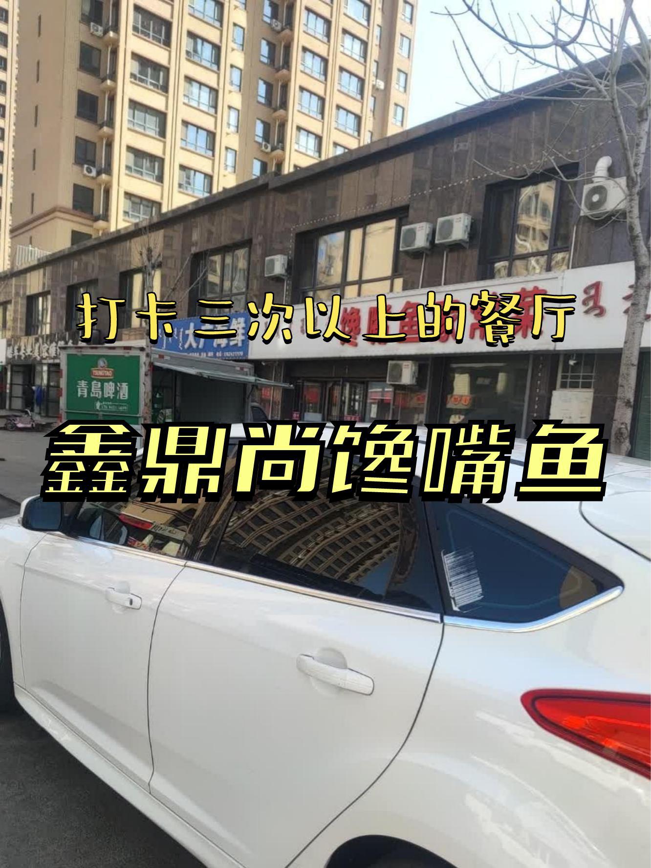 鑫鼎尚馋嘴鱼(喀左店),吃货们赶紧来瞅瞅,美味不容错过